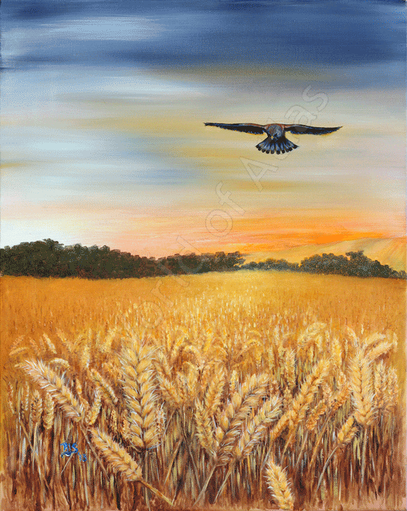 Harvest Supper